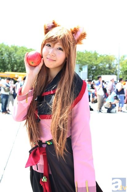 我国实施知识产权战略的思路【od体育网址】(图4) od体育网址